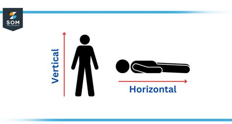 vertical|Vertical Definition & Meaning